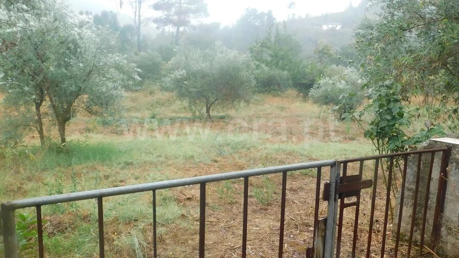 Terreno para Venda em Casegas e Ourondo