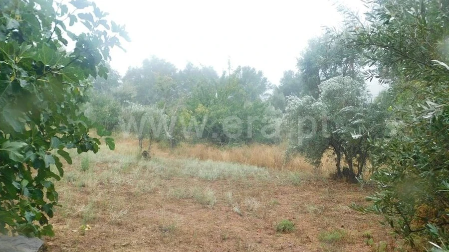 Terreno para Venda em Casegas e Ourondo