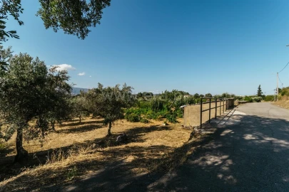 Terreno para Venda em Fundão, Valverde, Donas, A. Joanes, A. Nova Cabo