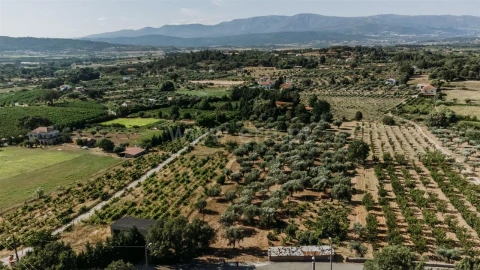 Terreno para Venda em Fundão, Valverde, Donas, A. Joanes, A. Nova Cabo