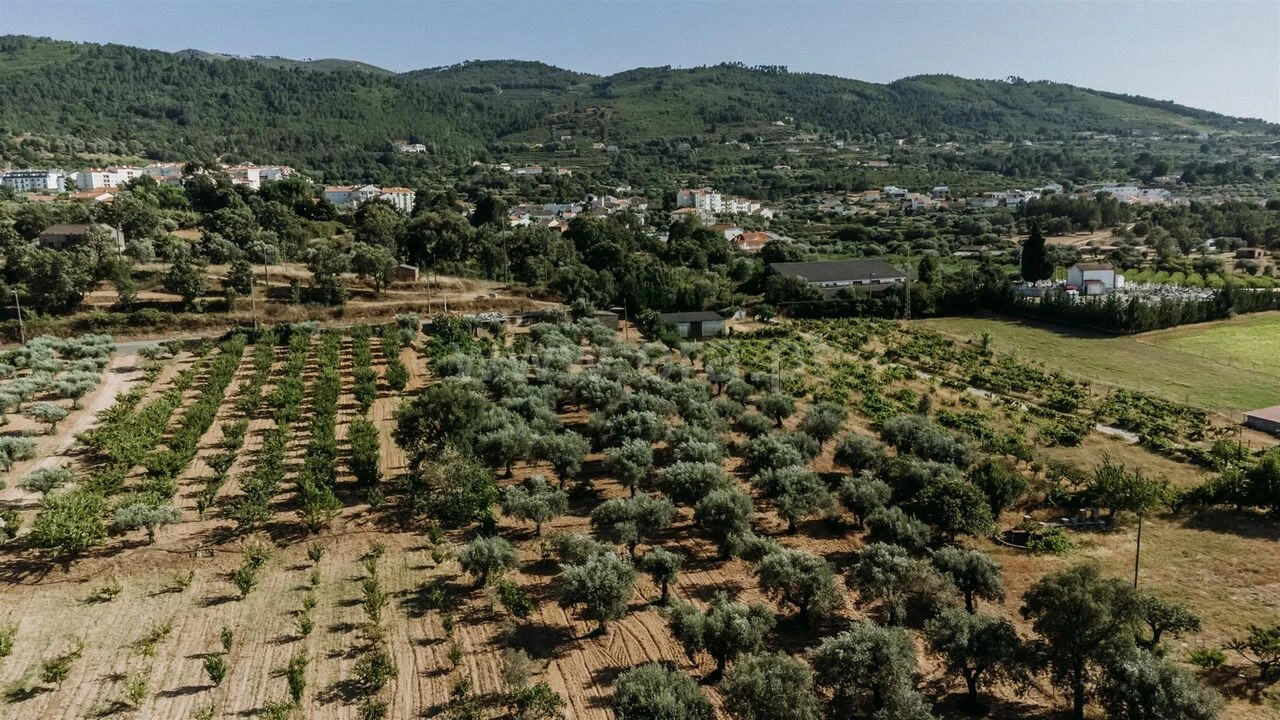 Terreno para Venda em Fundão, Valverde, Donas, A. Joanes, A. Nova Cabo Foto 9