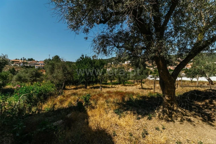 Moradia T1 para Venda em Casegas e Ourondo Foto 12