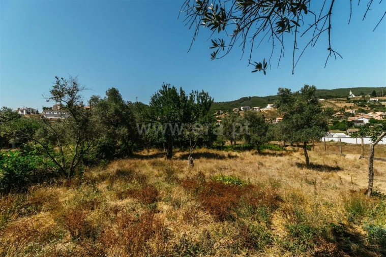 Moradia T1 para Venda em Casegas e Ourondo Foto 13