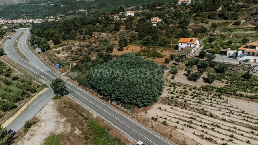Terreno para Venda em Teixoso e Sarzedo Foto 4