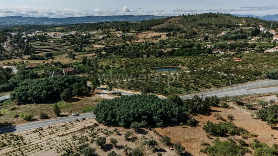Terreno para Venda em Teixoso e Sarzedo Foto 8