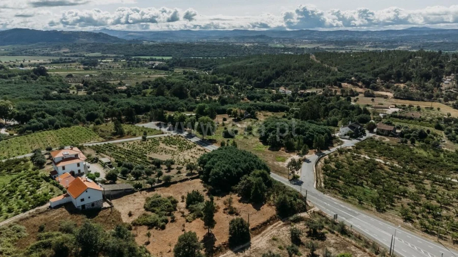 Terreno para Venda em Teixoso e Sarzedo