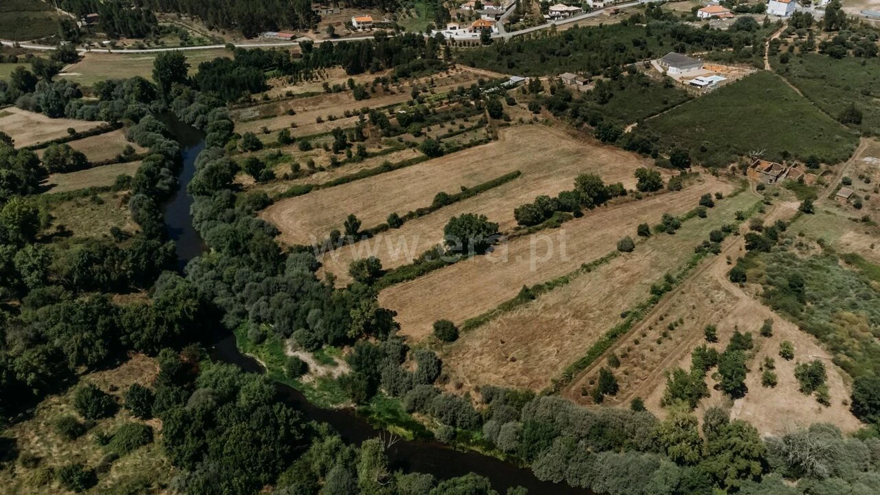 Terreno para Venda em Barco e Coutada Foto 11