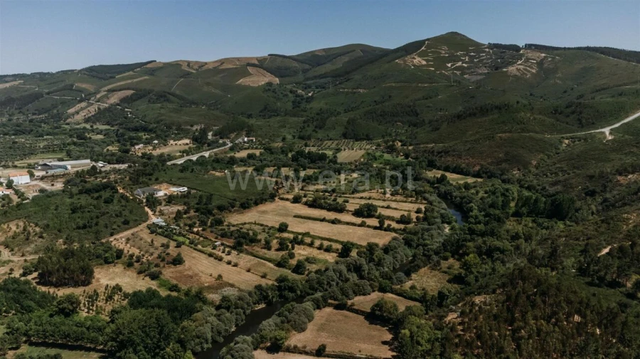 Terreno para Venda em Barco e Coutada Foto 7