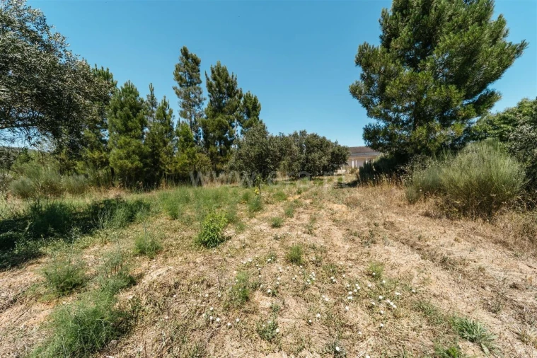 Terreno para Venda em Barco e Coutada Foto 19