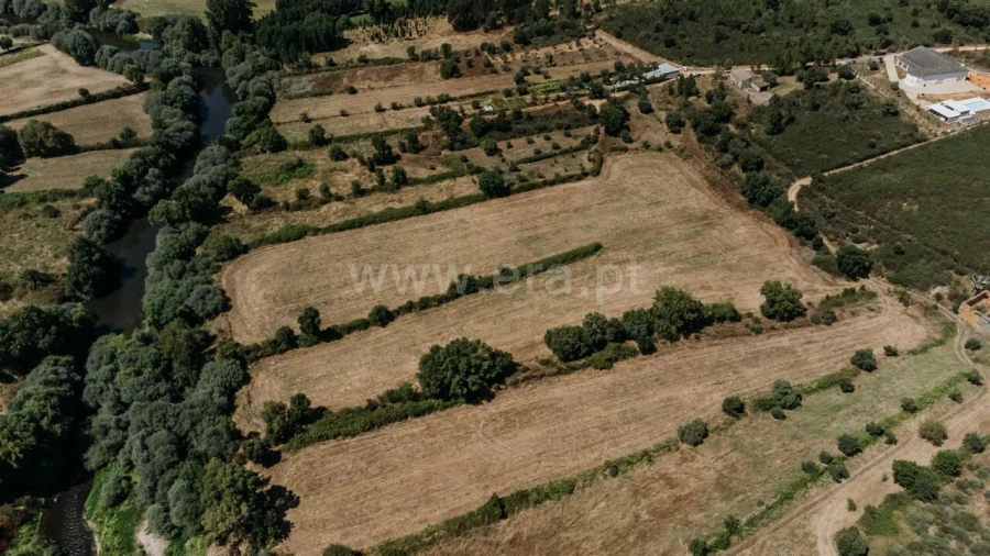 Terreno para Venda em Barco e Coutada Foto 13