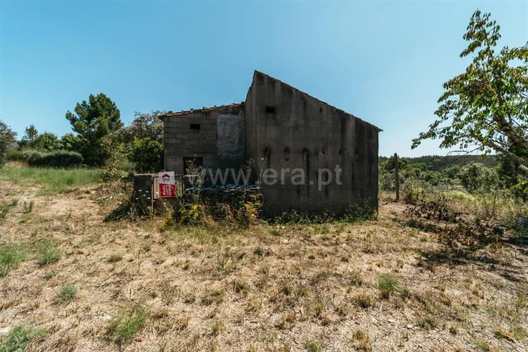 Terreno para Venda em Barco e Coutada Foto 14