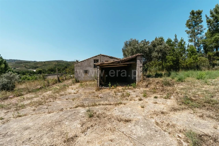 Terreno para Venda em Barco e Coutada Foto 18