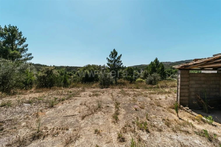 Terreno para Venda em Barco e Coutada Foto 20