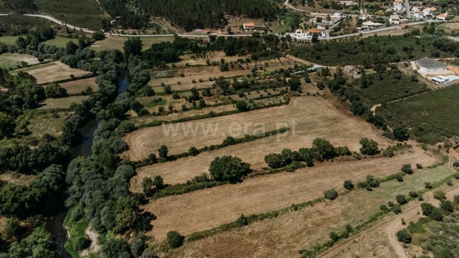 Terreno para Venda em Barco e Coutada Foto 12