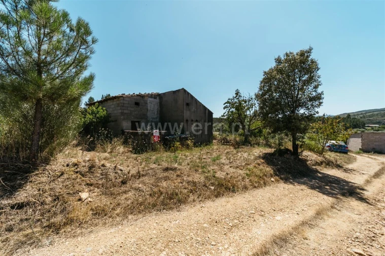 Terreno para Venda em Barco e Coutada Foto 15