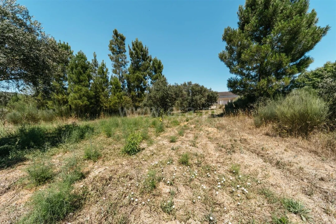 Terreno para Venda em Barco e Coutada Foto 19