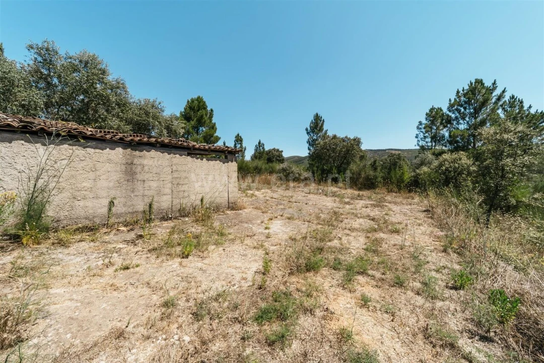 Terreno para Venda em Barco e Coutada Foto 17