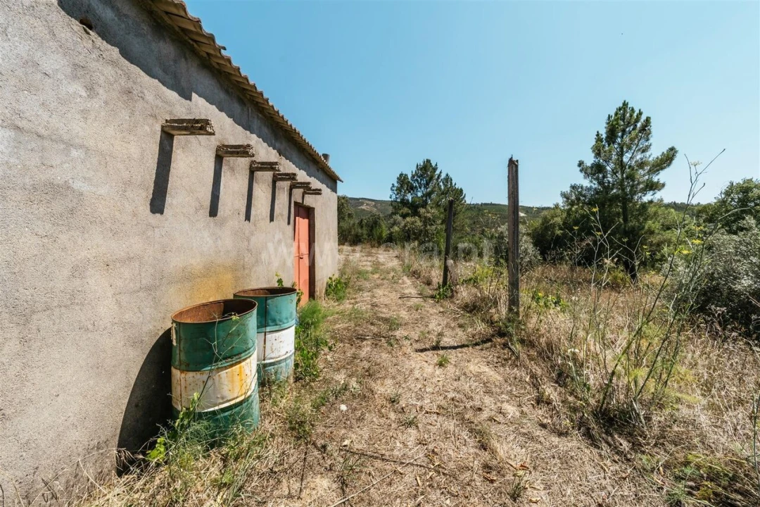 Terreno para Venda em Barco e Coutada Foto 16