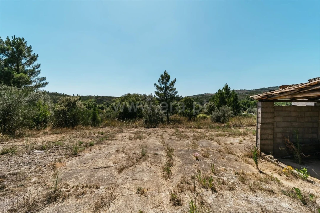 Terreno para Venda em Barco e Coutada Foto 20