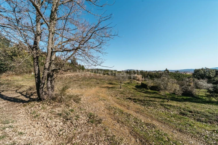 Quinta T0 para Venda em Peso e Vales do Rio Foto 12