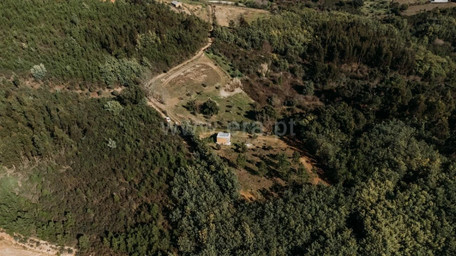 Quinta T0 para Venda em Peso e Vales do Rio Foto 2