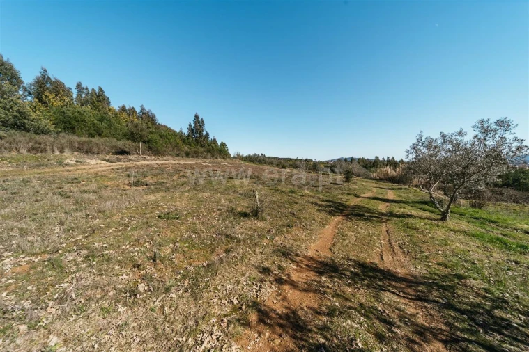 Quinta T0 para Venda em Peso e Vales do Rio Foto 13