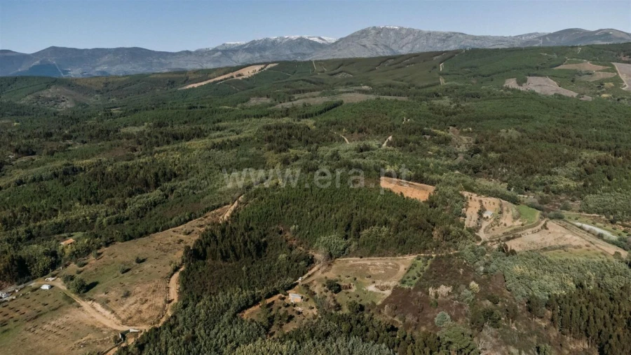 Quinta T0 para Venda em Peso e Vales do Rio Foto 5