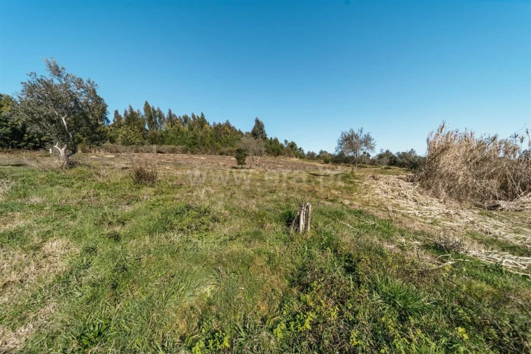 Quinta T0 para Venda em Peso e Vales do Rio Foto 18
