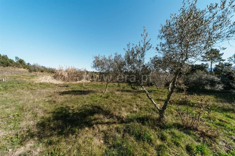 Quinta T0 para Venda em Peso e Vales do Rio Foto 16