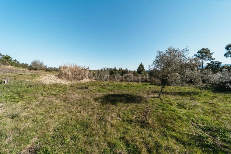 Quinta T0 para Venda em Peso e Vales do Rio Foto 17