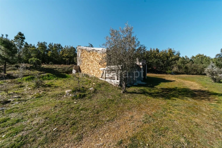 Quinta T0 para Venda em Peso e Vales do Rio Foto 9