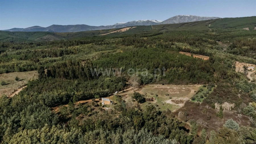 Quinta T0 para Venda em Peso e Vales do Rio Foto 4