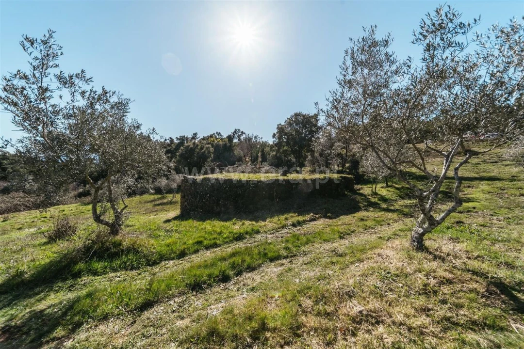 Quinta T0 para Venda em Peso e Vales do Rio Foto 14