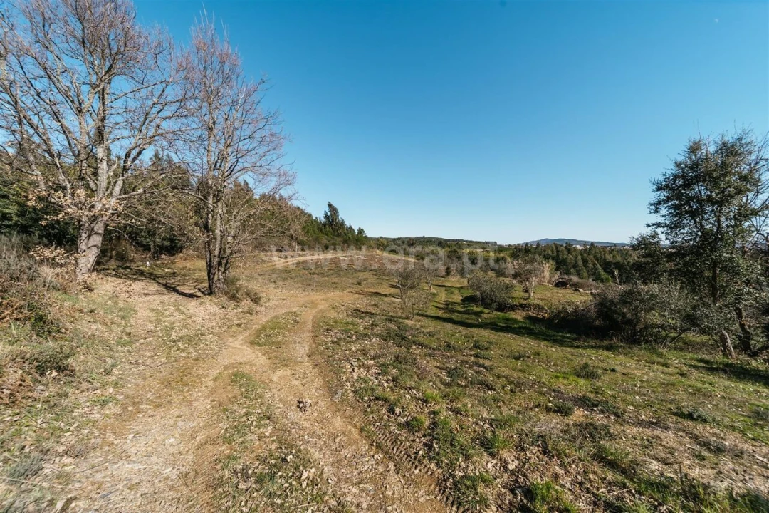 Quinta T0 para Venda em Peso e Vales do Rio Foto 11