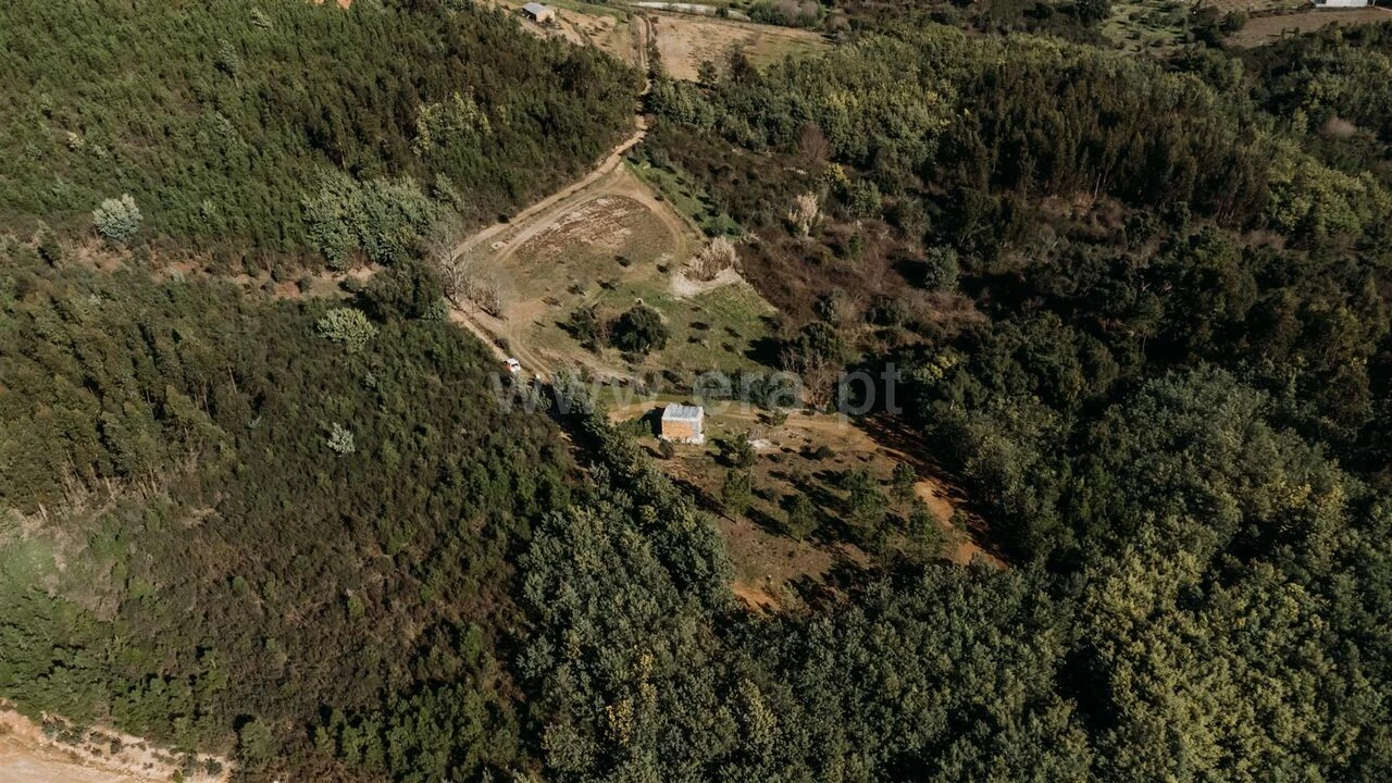 Quinta T0 para Venda em Peso e Vales do Rio Foto 2