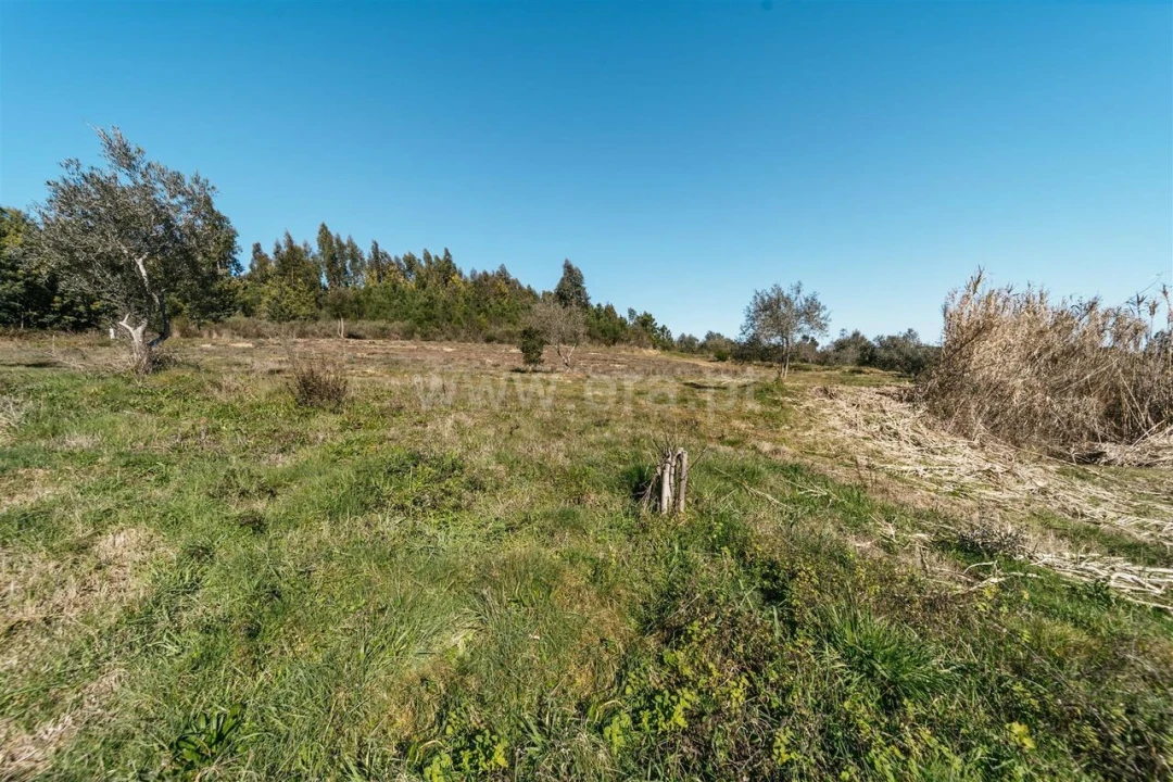 Quinta T0 para Venda em Peso e Vales do Rio Foto 18