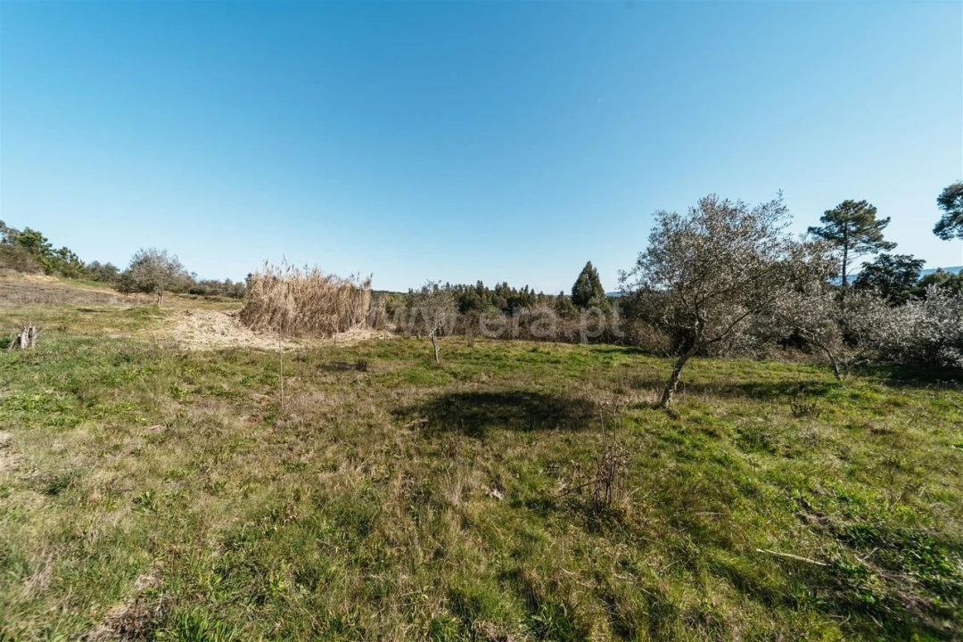 Quinta T0 para Venda em Peso e Vales do Rio Foto 17