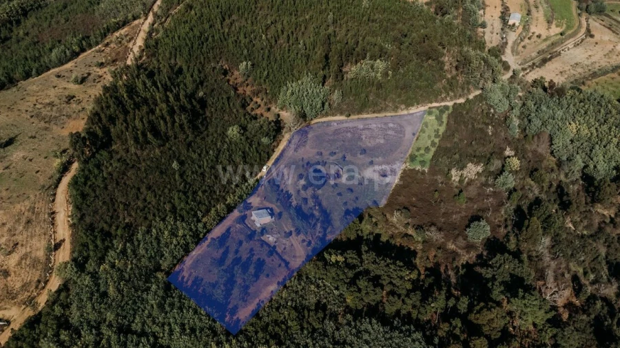 Quinta T0 para Venda em Peso e Vales do Rio