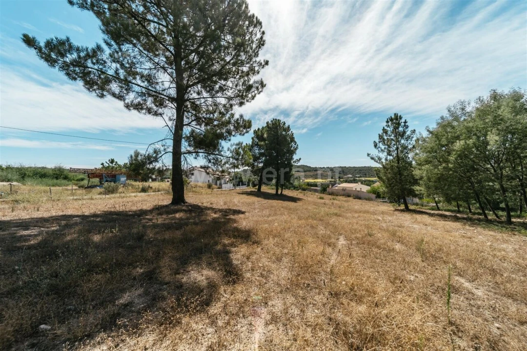 Terreno para Venda em Belmonte e Colmeal da Torre Foto 7