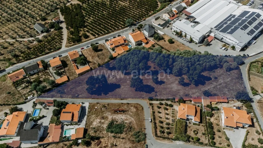 Terreno para Venda em Belmonte e Colmeal da Torre Foto 1