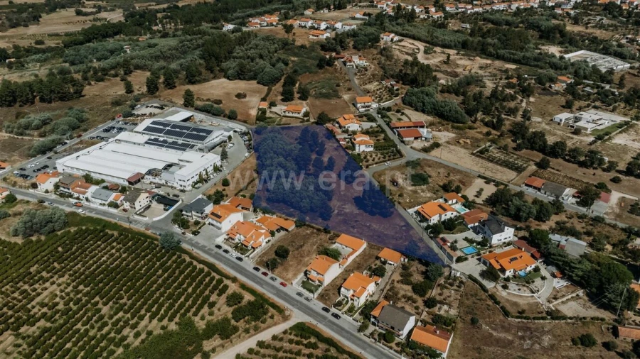 Terreno para Venda em Belmonte e Colmeal da Torre Foto 2