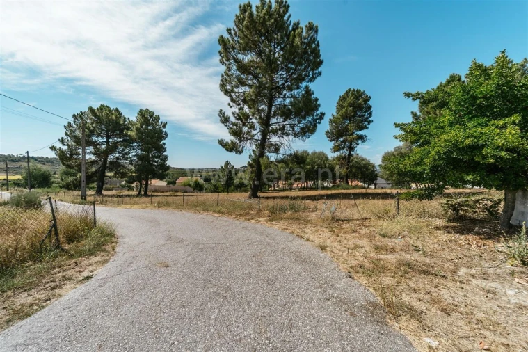 Terreno para Venda em Belmonte e Colmeal da Torre Foto 4