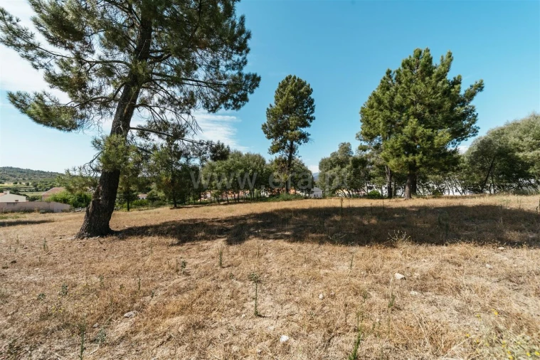 Terreno para Venda em Belmonte e Colmeal da Torre Foto 5