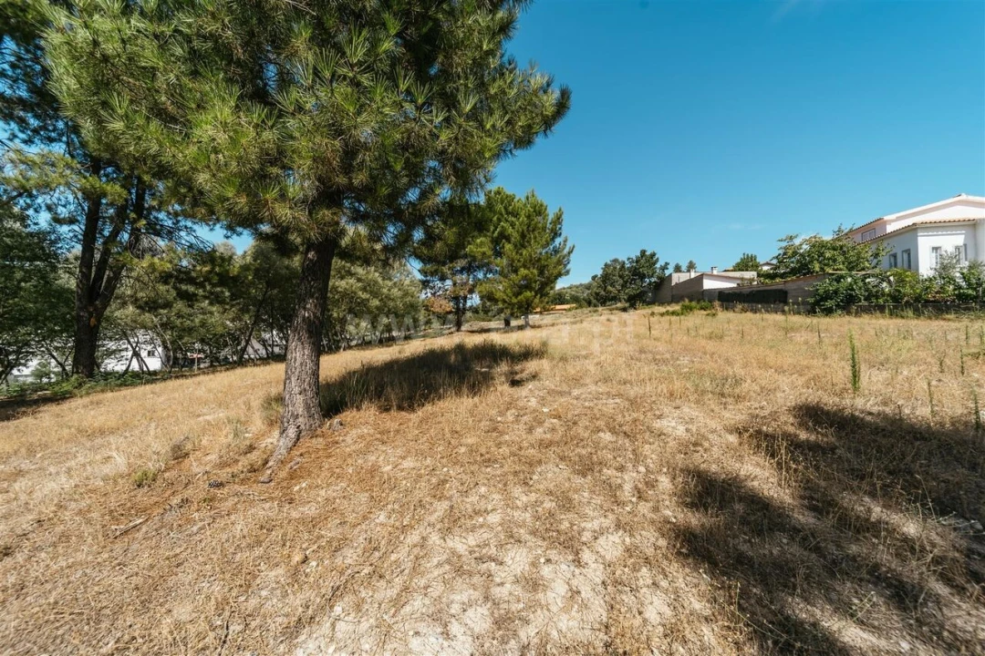 Terreno para Venda em Belmonte e Colmeal da Torre Foto 6
