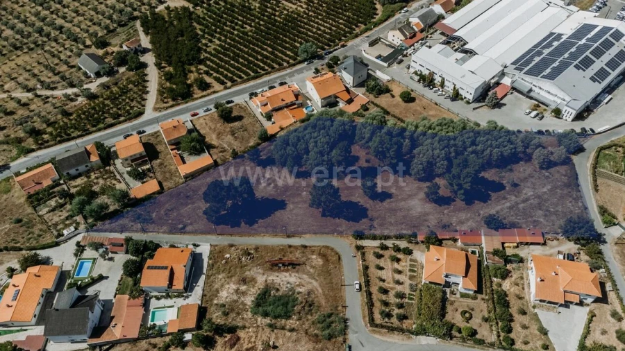 Terreno para Venda em Belmonte e Colmeal da Torre