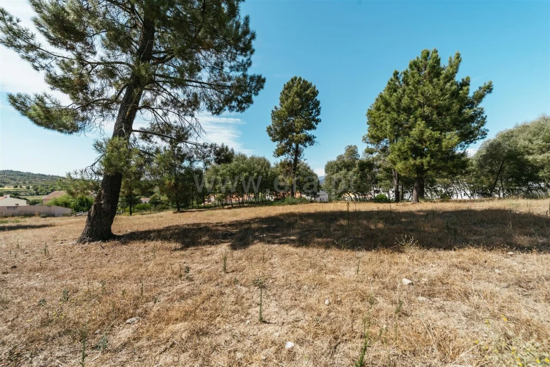 Terreno para Venda em Belmonte e Colmeal da Torre Foto 5