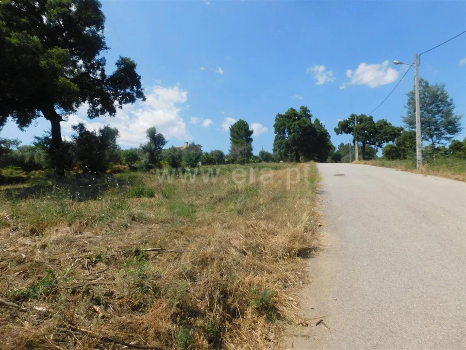 Terreno para Venda em Peso e Vales do Rio Foto 15