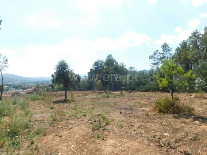 Terreno para Venda em Peso e Vales do Rio Foto 12