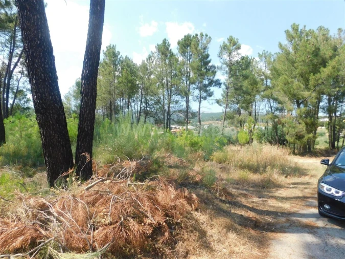 Terreno para Venda em Peso e Vales do Rio Foto 9