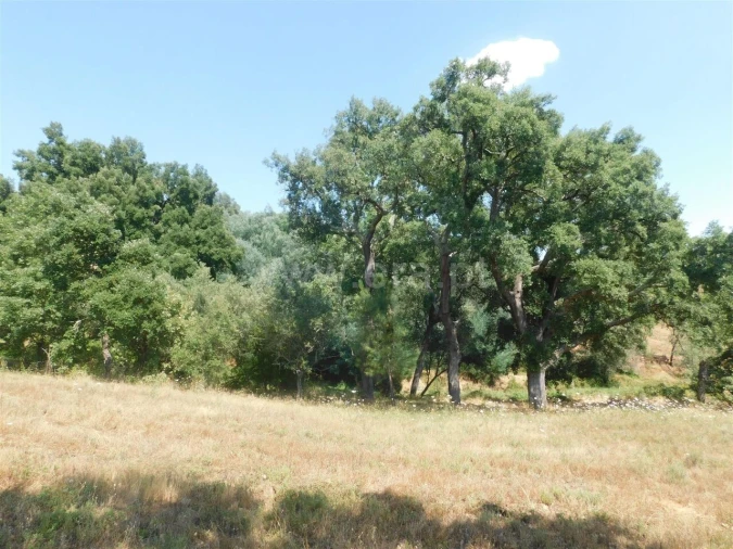 Terreno para Venda em Peso e Vales do Rio Foto 6